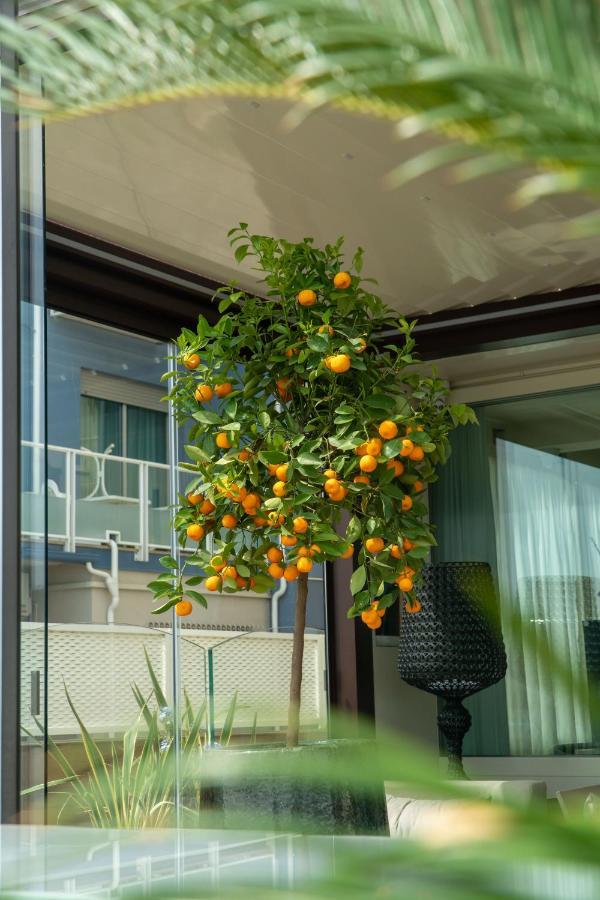 Hotel Orchidea Cervia Exteriér fotografie